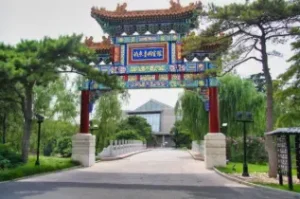 China CSC scholarship Beijing university
