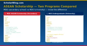 MOE ASEAN (School) vs NUS Undergraduate (University) — Two completely different programs