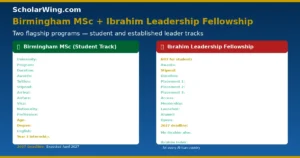 mo-ibrahim-foundation-programs-detail