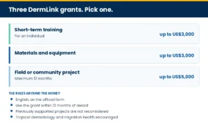 Panel on the three DermLink grant types and the rules around the money