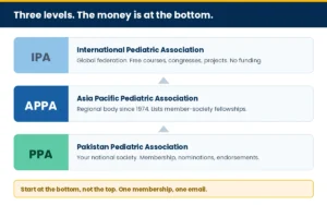 The three-level structure from PPA up to IPA, with what each level offers