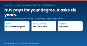 NUS Science and Technology Undergraduate Scholarship covering tuition and a living allowance in Singapore