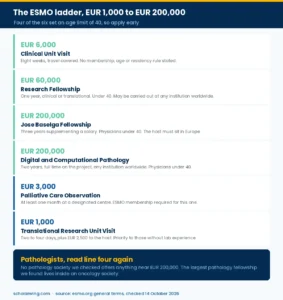 Six ESMO fellowships from six thousand to two hundred thousand euros with their conditions