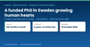 Örebro University funded PhD in biomedicine building human cardiac organoids
