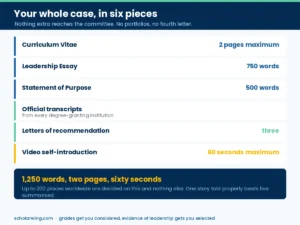 The six parts of a Schwarzman Scholars application, including the 750-word leadership essay and one-minute video