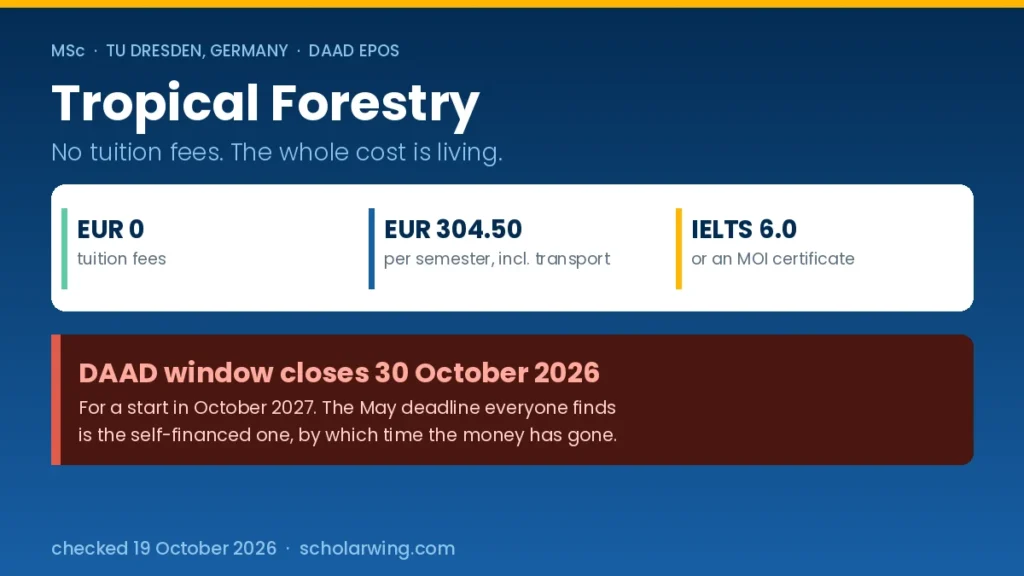no tuition fees and the 30 October DAAD deadline