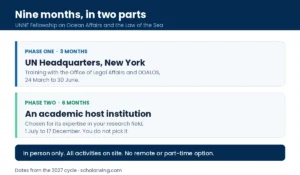 Timeline showing three months in New York and six months at a host institution