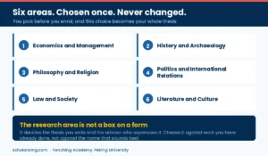 The six Yenching Academy research areas, chosen before enrolment and fixed for the whole degree